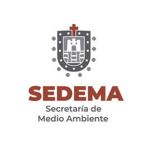 SEDEMA-AV